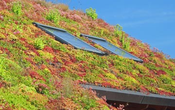 Ince In Makerfield living roof systems